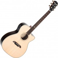 Acoustic Guitar Alvarez WY1 