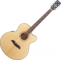 Photos - Acoustic Guitar Framus FJ 14 SMV CE 