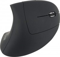 Photos - Mouse Equip Ergonomic Wireless Mouse 