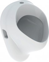 Photos - Urinal Geberit Felix 502.885.00.1 