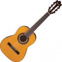 Photos - Acoustic Guitar Ibanez GA1 
