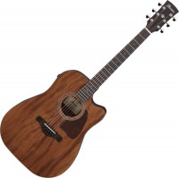 Photos - Acoustic Guitar Ibanez AW1040CE 