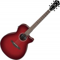 Photos - Acoustic Guitar Ibanez AEG51 