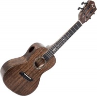 Photos - Acoustic Guitar KAI KCI-100G 