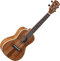 Acoustic Guitar Alvarez AU90C 