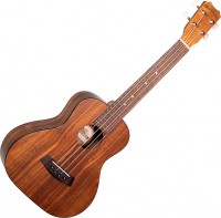 Photos - Acoustic Guitar Islander A-ST-4 