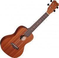 Photos - Acoustic Guitar Islander MC-4 