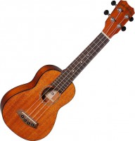 Acoustic Guitar Islander MSS-4 