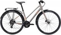 Photos - Bike Giant Liv Alight 2 City Disc 2023 frame L 