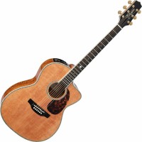 Photos - Acoustic Guitar Takamine LTD2022 
