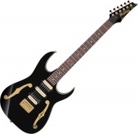 Guitar Ibanez PGM50 