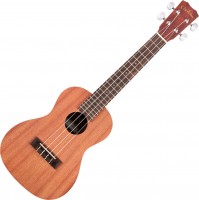 Photos - Acoustic Guitar Cordoba UP100 