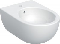 Photos - Bidet Geberit Selnova 501.993.00.1 