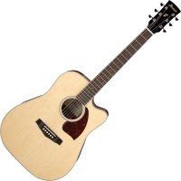 Photos - Acoustic Guitar Ibanez PF16WCE 