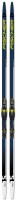 Photos - Ski Fischer Twin Skin Performance Medium 187 (2023/2024) 