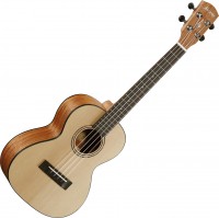 Acoustic Guitar Alvarez RU26T 