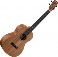 Acoustic Guitar Alvarez RU22B 