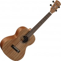 Acoustic Guitar Alvarez RU22T 