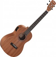 Photos - Acoustic Guitar Alvarez RU22BE 
