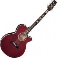 Photos - Acoustic Guitar Takamine TSP158C 
