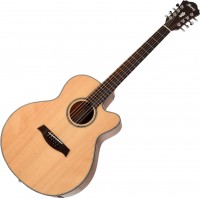 Photos - Acoustic Guitar Ibanez AEL108TD 