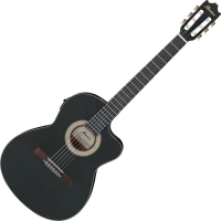 Photos - Acoustic Guitar Ibanez GA5MHTCE 
