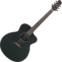 Photos - Acoustic Guitar Ibanez JGM10 
