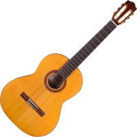 Photos - Acoustic Guitar Cordoba Dolce 