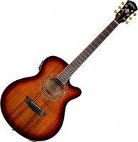 Photos - Acoustic Guitar Washburn EA55G 