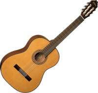 Acoustic Guitar Washburn C40 
