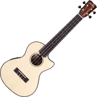 Photos - Acoustic Guitar Cordoba 21T-CE 