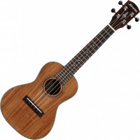 Photos - Acoustic Guitar Alvarez RU90CP 