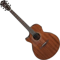 Acoustic Guitar Ibanez AE295L 
