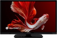 Photos - Television Gogen TVH 24P352T 24 "