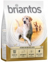 Photos - Dog Food Briantos Adult Maxi Chicken/Rice 