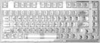 Photos - Keyboard FL ESPORTS Q75 SAM  Clione Limacina Switch