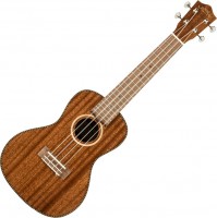 Acoustic Guitar Lanikai MAS-C 