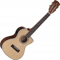 Acoustic Guitar Alvarez AU70WTCE 