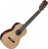 Photos - Acoustic Guitar Alvarez AU70WB/6 