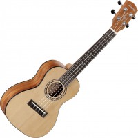 Acoustic Guitar Alvarez RU26C 