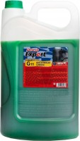 Photos - Antifreeze \ Coolant Polo Expert AntiFreeze Green G11 10L 10 L
