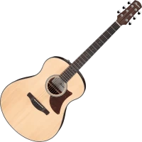 Photos - Acoustic Guitar Ibanez AAM50 