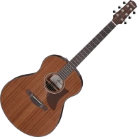 Photos - Acoustic Guitar Ibanez AAM54 