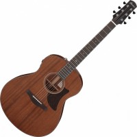 Photos - Acoustic Guitar Ibanez AAM740E 