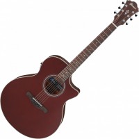 Photos - Acoustic Guitar Ibanez AE100 