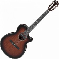 Photos - Acoustic Guitar Ibanez AEG74N 