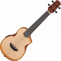Acoustic Guitar Ibanez AUC10E 