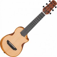 Acoustic Guitar Ibanez AUP10N 