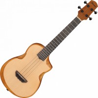 Acoustic Guitar Ibanez AUT10 