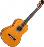 Photos - Acoustic Guitar Esteve 8f 